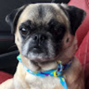 Meet your Posher, Melanie